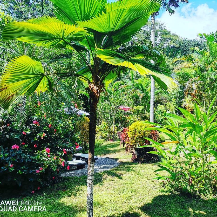 Hotel Belvedere Playa Samara Costa Rica Екстер'єр фото